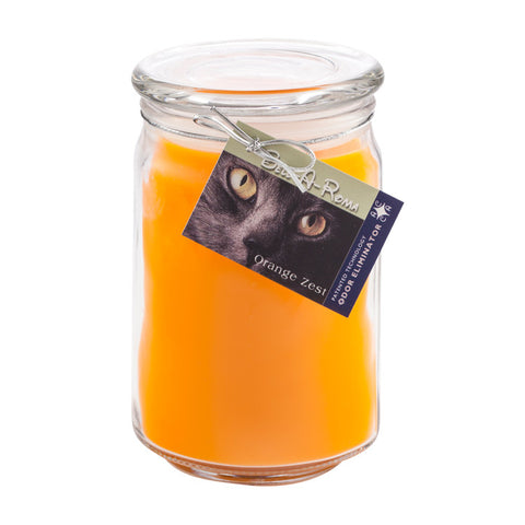 Orange Zest Odor Eliminator Candle